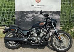 Harley-Davidson Nightster Special (2023 - 25) usata