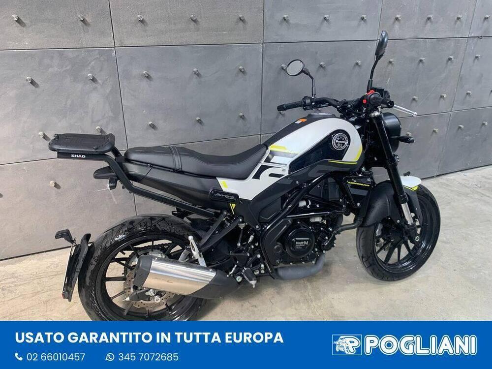 Benelli Leoncino 250 (2021 - 25) (2)