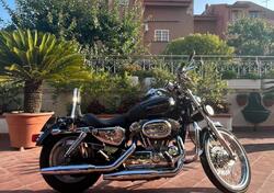 Harley-Davidson 883 Custom (2008 - 12) - XL 883C usata