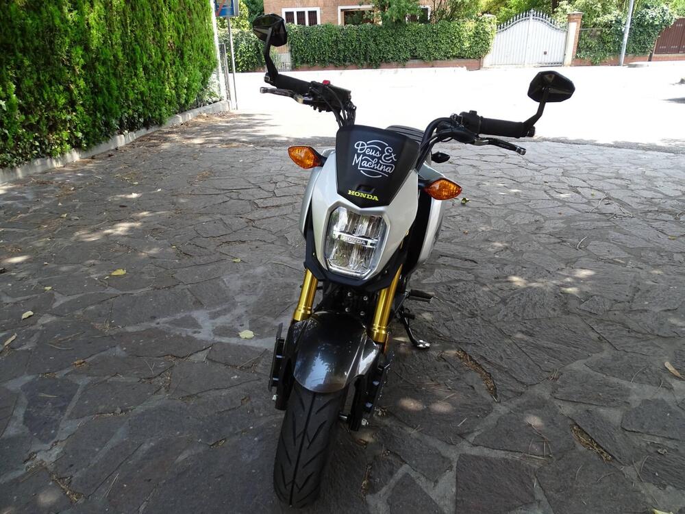 Honda MSX 125 Grom (2021 - 25) (5)