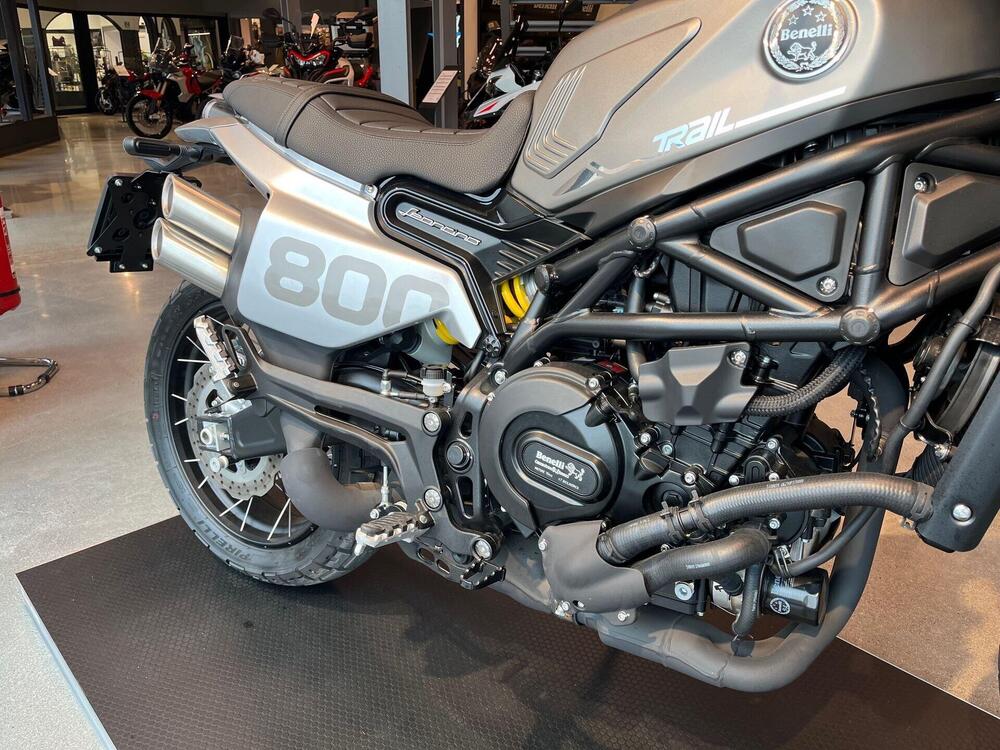 Benelli Leoncino 800 (2022 - 25) (4)