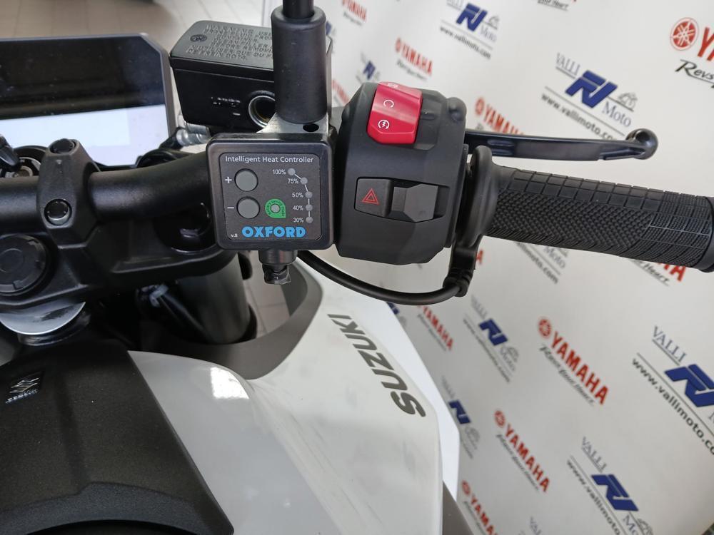 Suzuki GSX-8S (2023 - 24) (5)