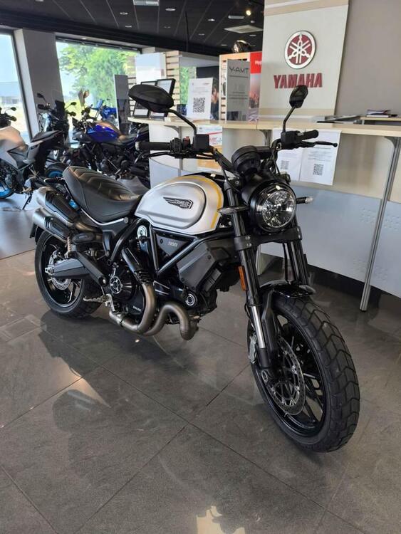 Ducati Scrambler 1100 Pro (2020 - 22) (2)