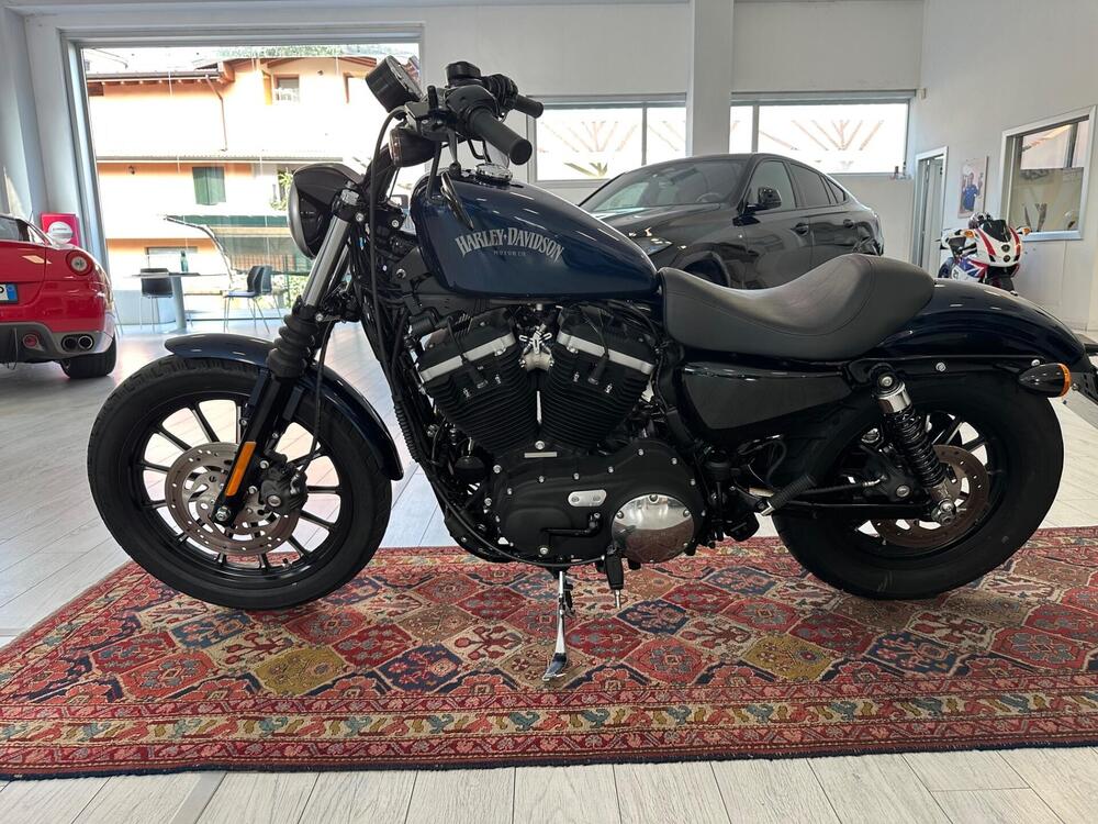 Harley-Davidson 883 Iron (2012 - 14) - XL 883N (3)