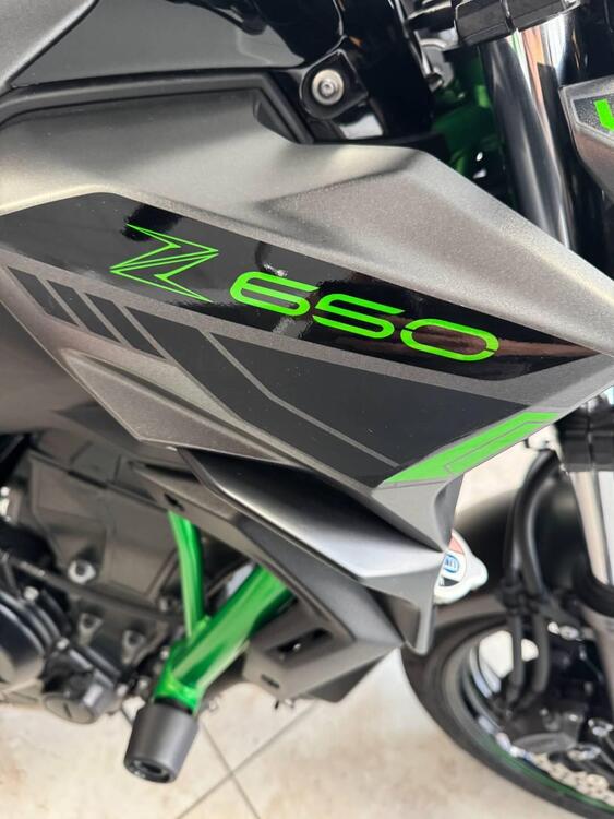 Kawasaki Z 650 Performance (2021 - 24) (3)