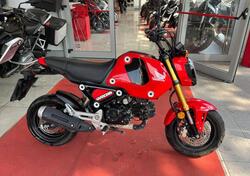Honda MSX 125 Grom (2021 - 25) usata