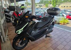 Honda Forza 350 (2025) usata