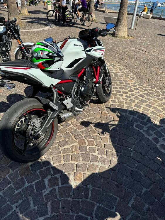 Kawasaki Z 650 Urban (2021 - 24)