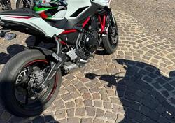 Kawasaki Z 650 Urban (2021 - 24) usata