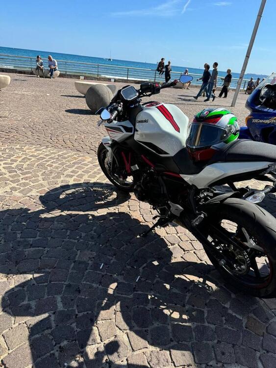 Kawasaki Z 650 Urban (2021 - 24) (2)