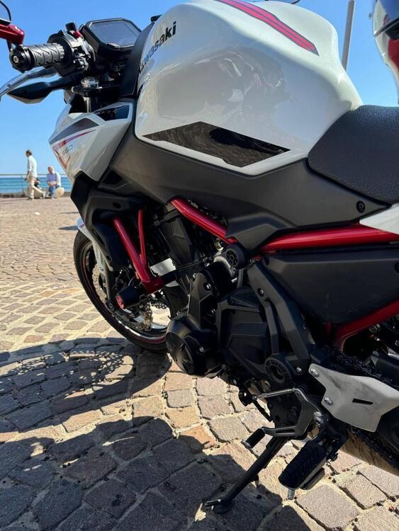 Kawasaki Z 650 Urban (2021 - 24) (3)