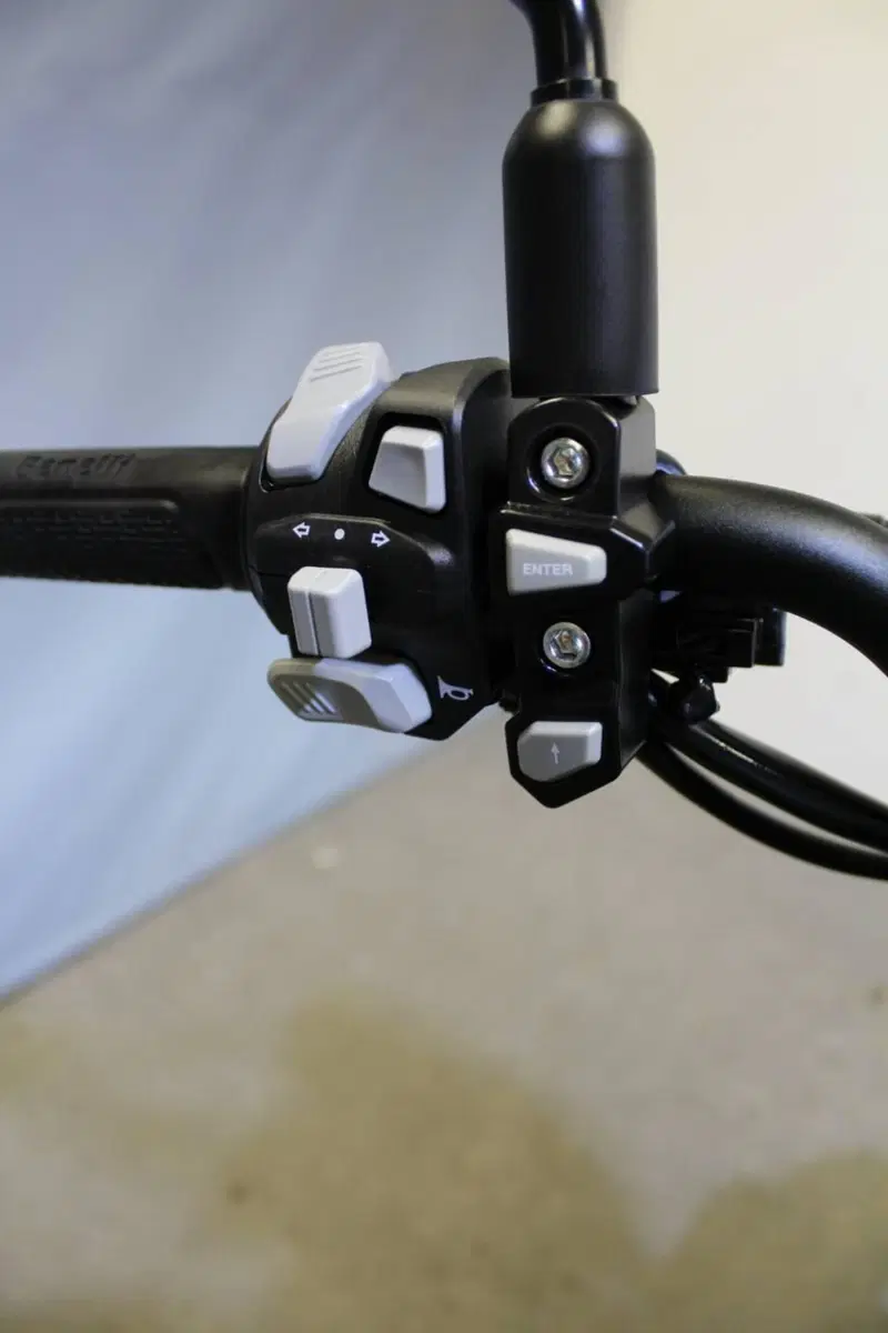 Benelli Leoncino 800 Trail (2022 - 26) (10)