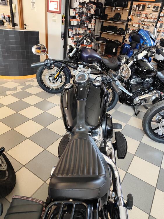 Harley-Davidson 107 Slim (2018 - 20) - FLSL (3)