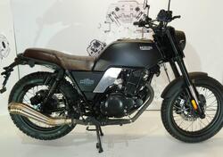 Brixton Motorcycles Felsberg 250 (2021 - 25) nuova