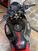 Aprilia Tuono V4 Factory (2021 - 24) (10)