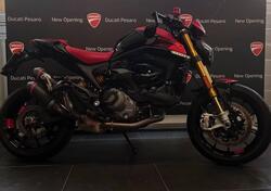 Ducati Monster 937 SP (2023 - 25) usata