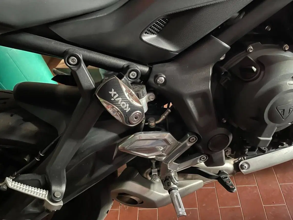 Triumph Trident 660 (2021 - 24) (8)