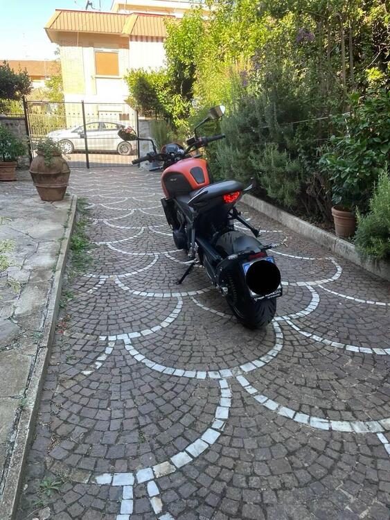 Triumph Trident 660 (2021 - 24) (4)