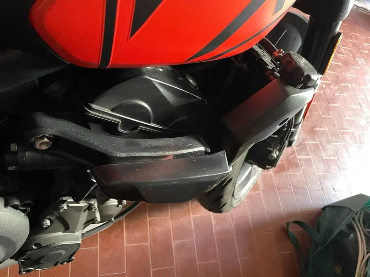 Triumph Trident 660 (2021 - 24) (9)