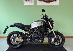 Benelli Leoncino 800 (2022 - 25) usata