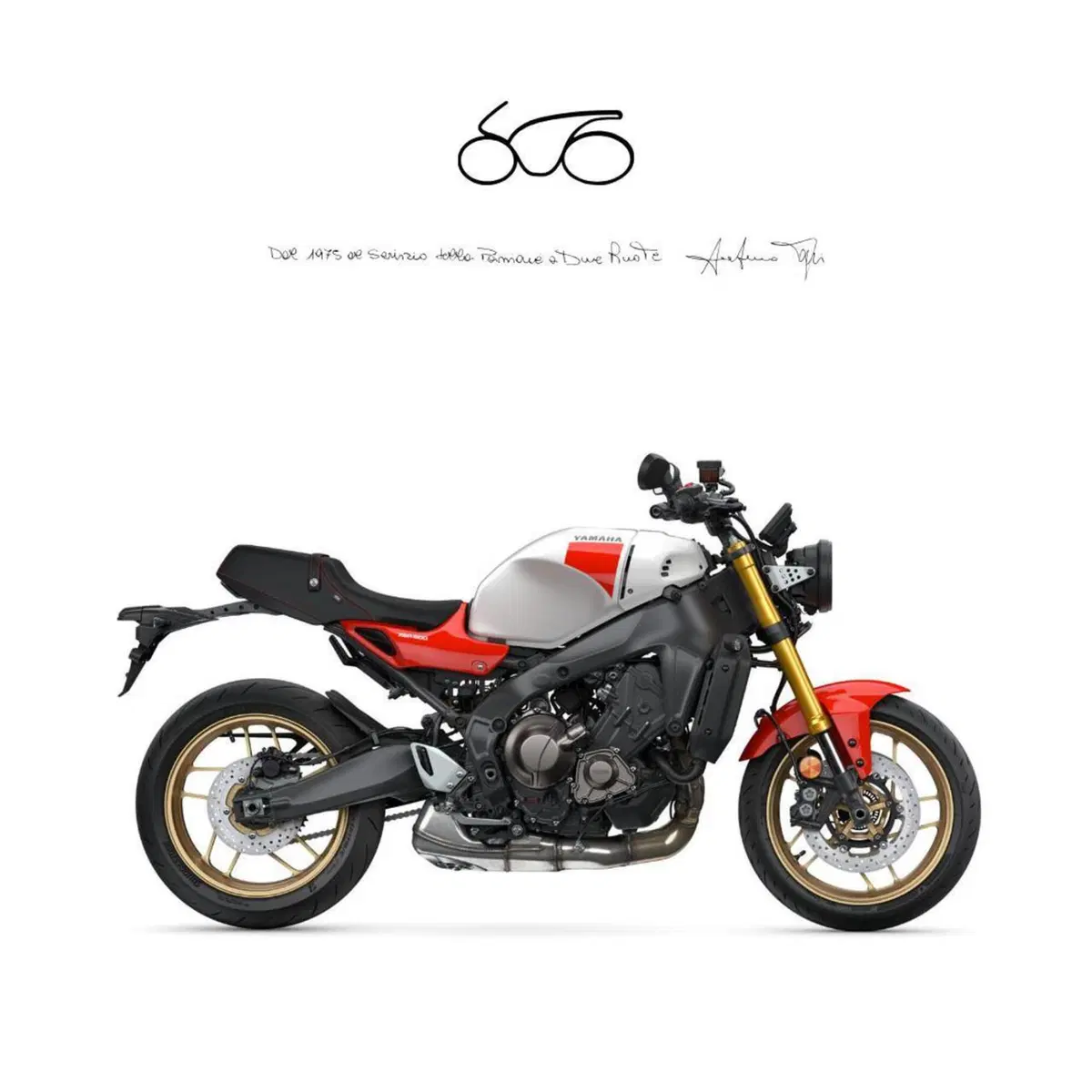 Yamaha XSR 900 (2022 - 24)