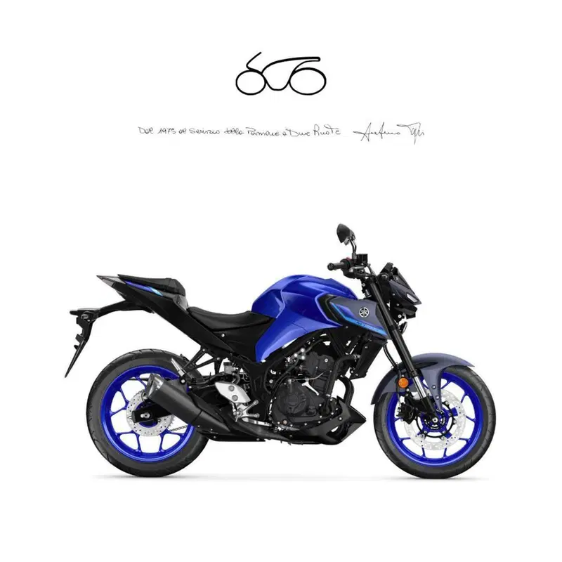 Yamaha MT-03 (2022 - 24)