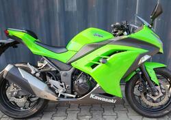 Kawasaki Ninja 300 ABS (2012 - 16) usata