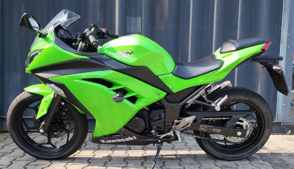 Kawasaki Ninja 300 ABS (2012 - 16) (2)