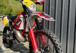 GASGAS EC 250 H Racing (2011 - 2012) usata