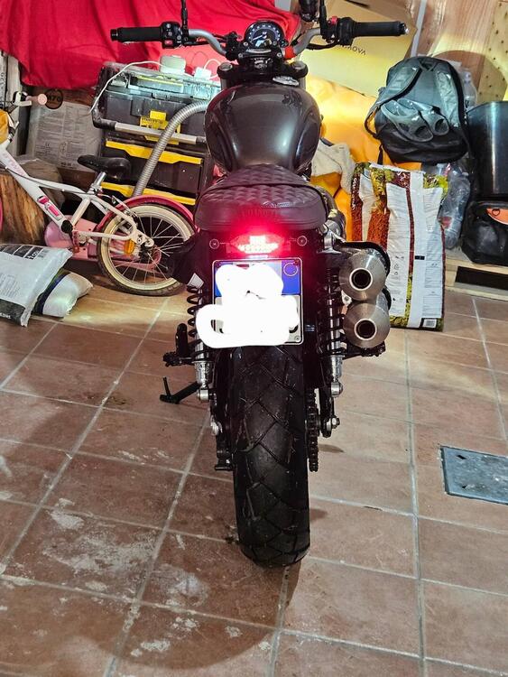 Triumph Street Scrambler 900 (2021 - 22) (4)