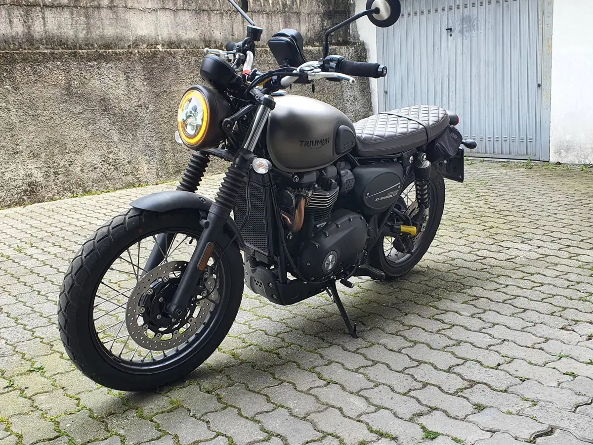 Triumph Street Scrambler 900 (2021 - 22) (3)