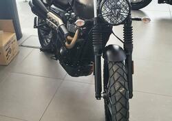 Triumph Street Scrambler 900 (2021 - 22) usata
