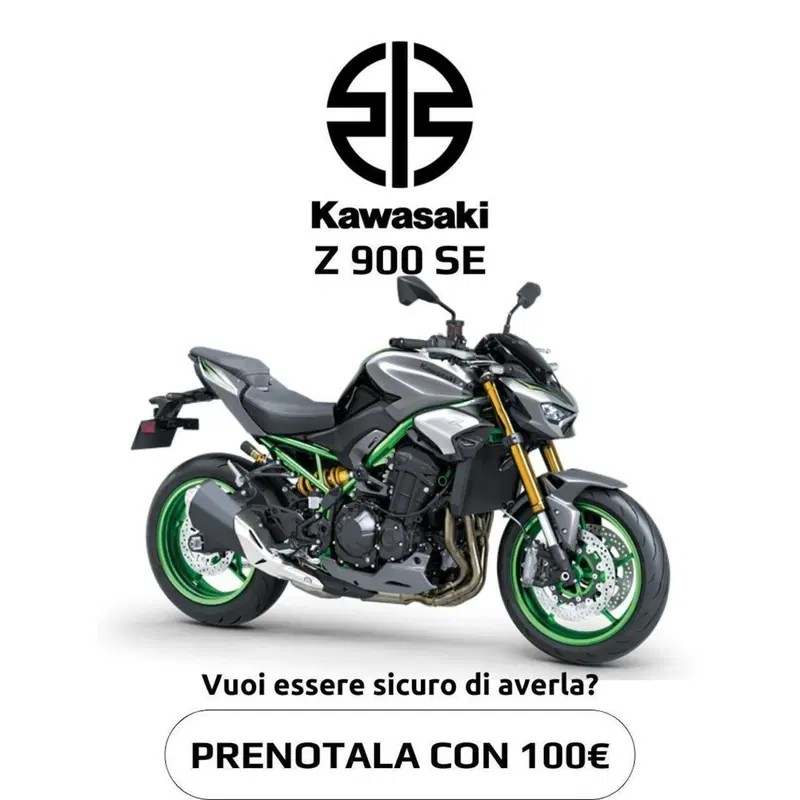 Kawasaki Z 900 (2021 - 24) (2)
