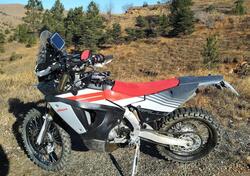 Fantic Motor XEF 450 Rally (2023 - 25) usata