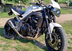 Triumph Speed Triple 1050 (2005 - 11) usata