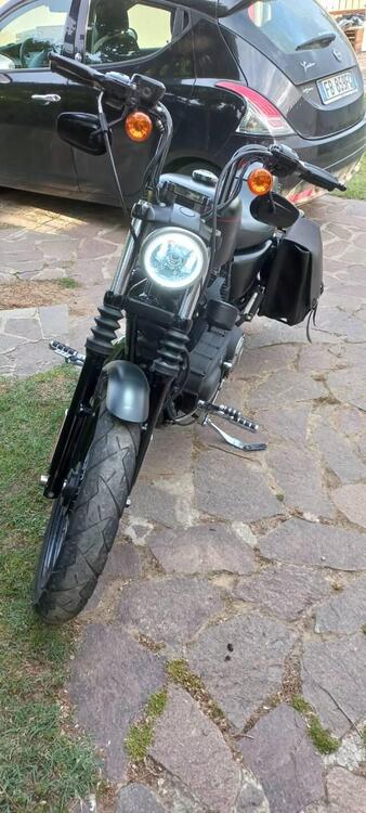 Harley-Davidson 1200 Custom (2007 - 13) - XL 1200C (3)