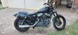 Harley-Davidson 1200 Custom (2007 - 13) - XL 1200C (6)