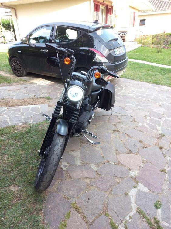 Harley-Davidson 1200 Custom (2007 - 13) - XL 1200C (3)