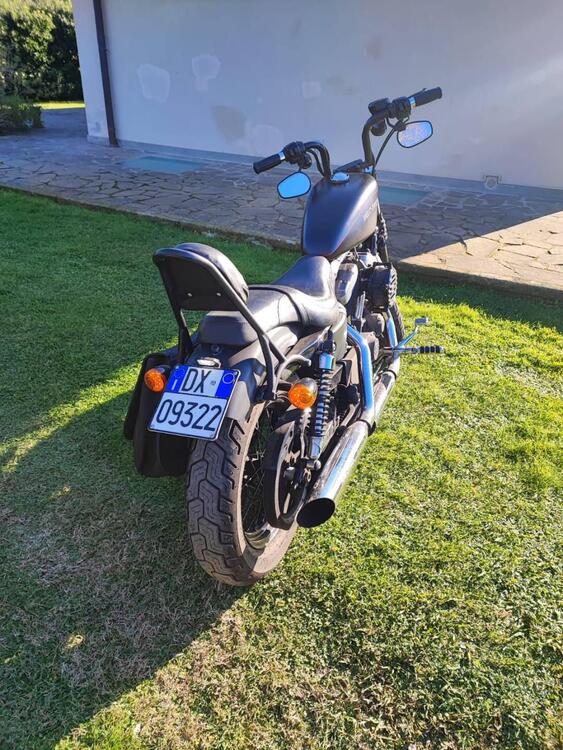 Harley-Davidson 1200 Custom (2007 - 13) - XL 1200C (5)