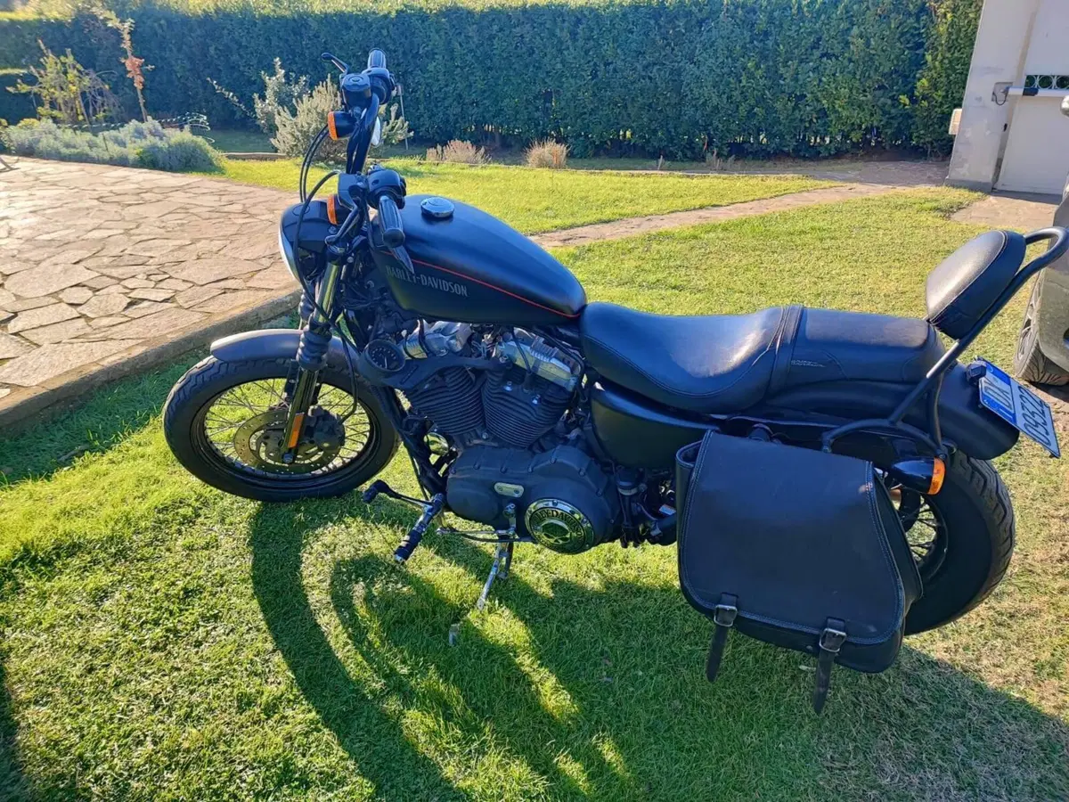 Harley-Davidson 1200 Custom (2007 - 13) - XL 1200C (7)