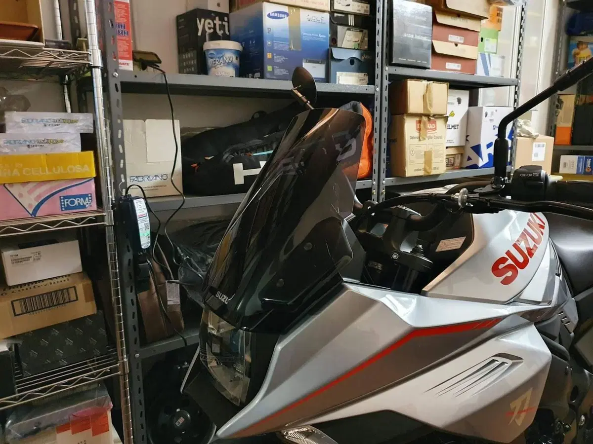 Suzuki Katana 1000 Jindachi (2019 - 20) (5)