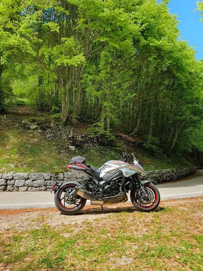 Suzuki Katana 1000 Jindachi (2019 - 20) (2)