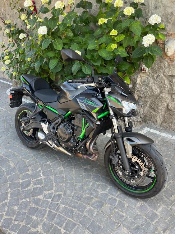 Kawasaki Z 650 (2021 - 24)