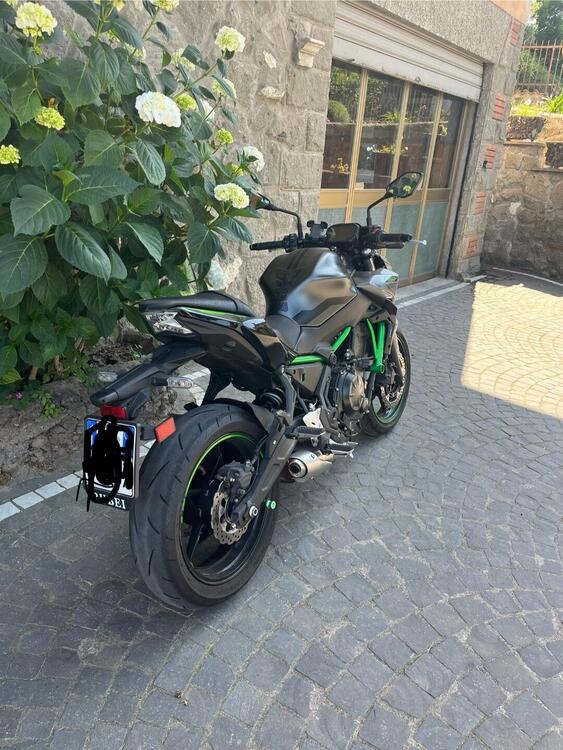 Kawasaki Z 650 (2021 - 24) (3)