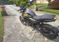 Voge Trofeo 525ACX Scrambler (2023 - 25) usata