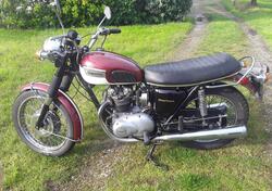 Triumph T100r daytona d'epoca