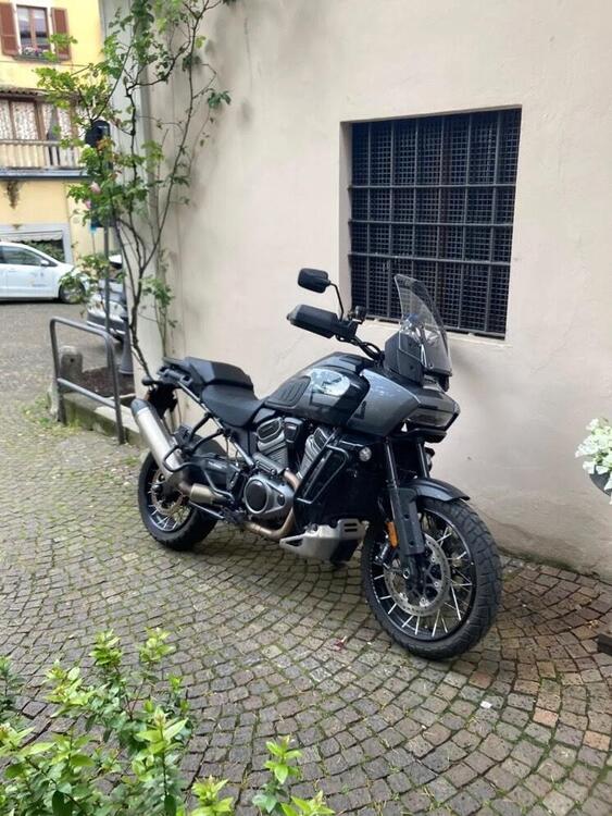 Harley-Davidson Pan America 1250 Special (2020 - 25)