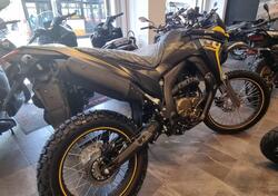 Voge 300 GY Rally (2022) nuova