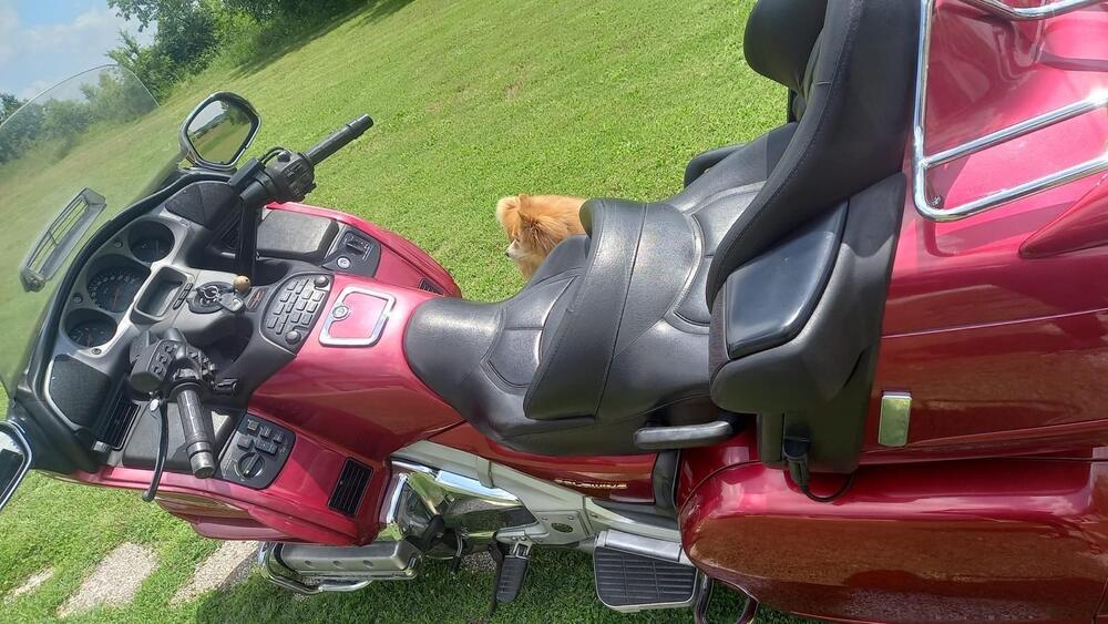 Honda GL 1800 Gold Wing (2000 - 05) (4)