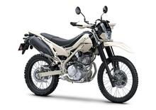 Kawasaki KLX 230 Sherpa: la nuova piccola Dual Sport arriverà in Italia?